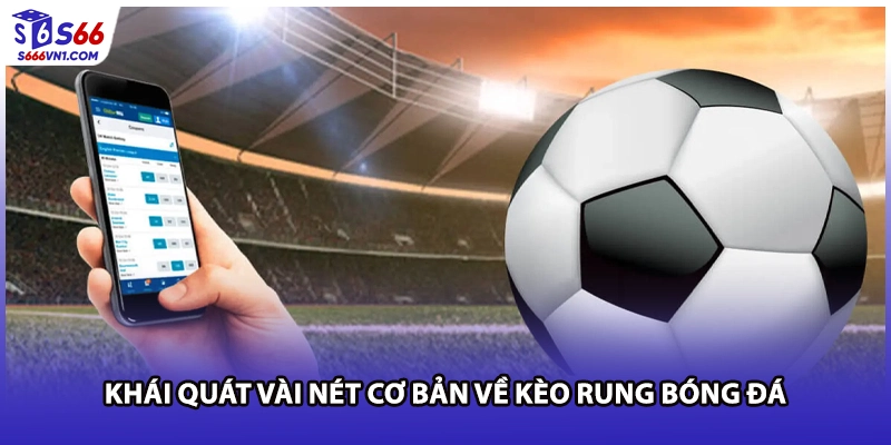 Khái quát vài nét cơ bản về kèo rung bóng đá
