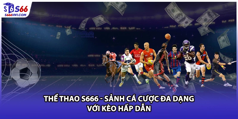 Thể Thao S666 - Sảnh Cá Cược Đa Dạng Với Kèo Hấp Dẫn
